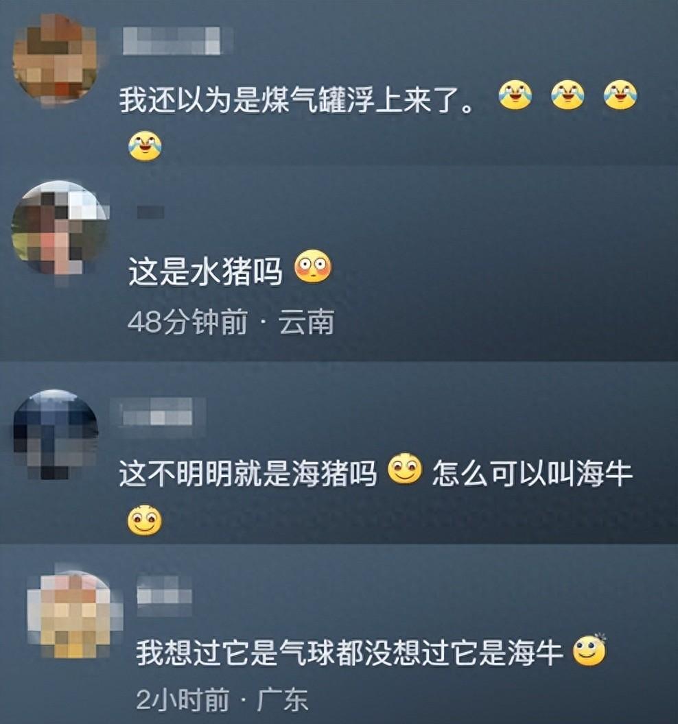 怎么有腦袋這么小身體那么大的動物