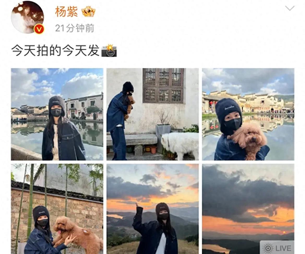 楊紫家業(yè)開機狀態(tài)
