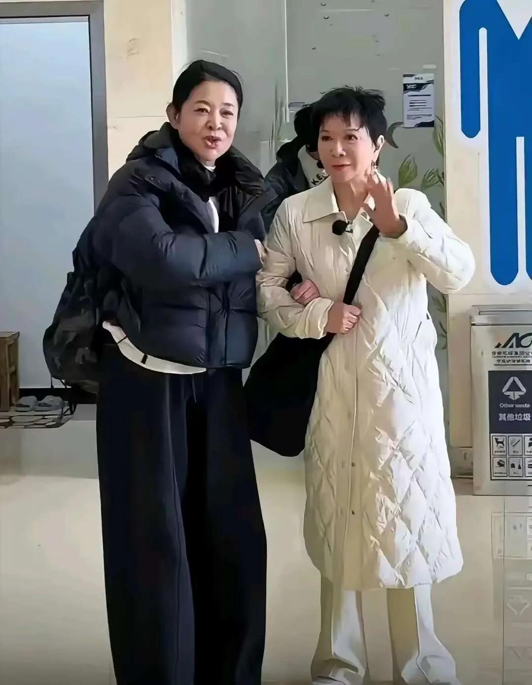 倪萍說麥琳幸福得活該