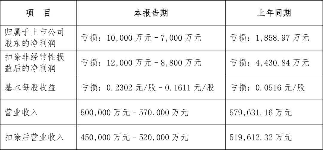 A股第一批發(fā)布2024年業(yè)績(jī)的公司,表現(xiàn)如何?