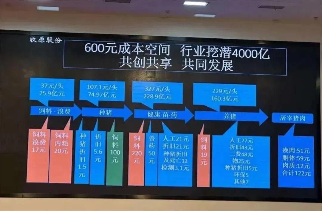 A股第一批發(fā)布2024年業(yè)績(jī)的公司,表現(xiàn)如何?