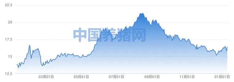 A股第一批發(fā)布2024年業(yè)績(jī)的公司,表現(xiàn)如何?