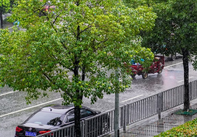 元宵節(jié)南北雨雪打燈