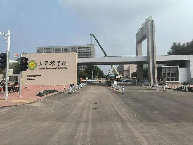 天津市高校排名大調整:天工大第6,中航大第12,天津農學院第17